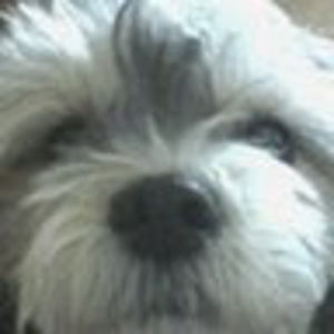 Meet your Posher, Janet